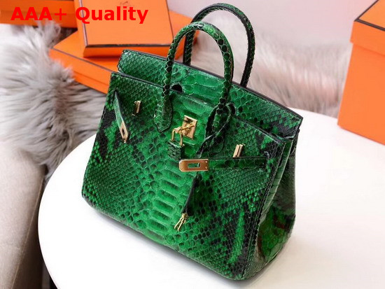 Hermes Birkin 25 Bag Green Python Replica