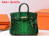 Hermes Birkin 25 Bag Green Python Replica