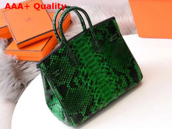 Hermes Birkin 25 Bag Green Python Replica