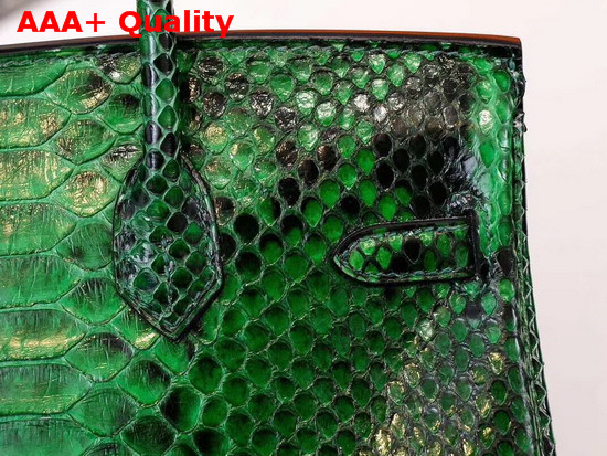 Hermes Birkin 25 Bag Green Python Replica