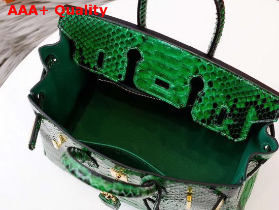 Hermes Birkin 25 Bag Green Python Replica