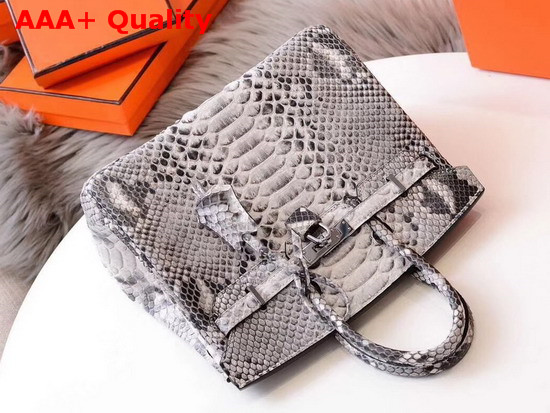 Hermes Birkin 25 Bag Grey Python Replica