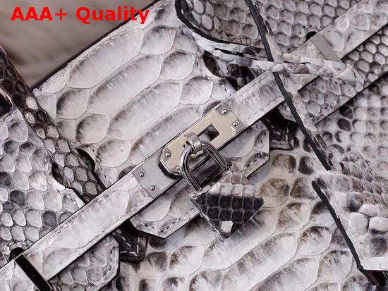 Hermes Birkin 25 Bag Grey Python Replica