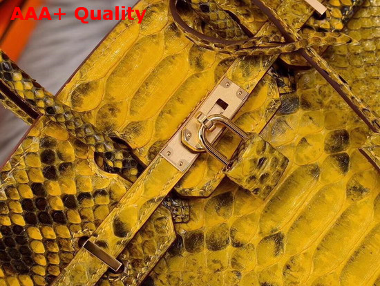 Hermes Birkin 25 Bag Yellow Python Replica