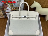 Hermes Birkin 25 Bag in Canvas and Swift Calfskin Milk White Replica