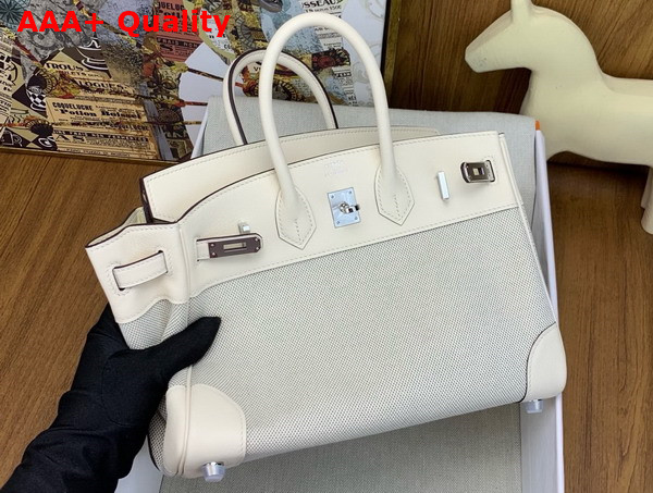 Hermes Birkin 25 Bag in Canvas and Swift Calfskin Milk White Replica
