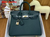 Hermes Birkin 25 Bag in Cypress Green Togo Leather and Alligator Leather Replica