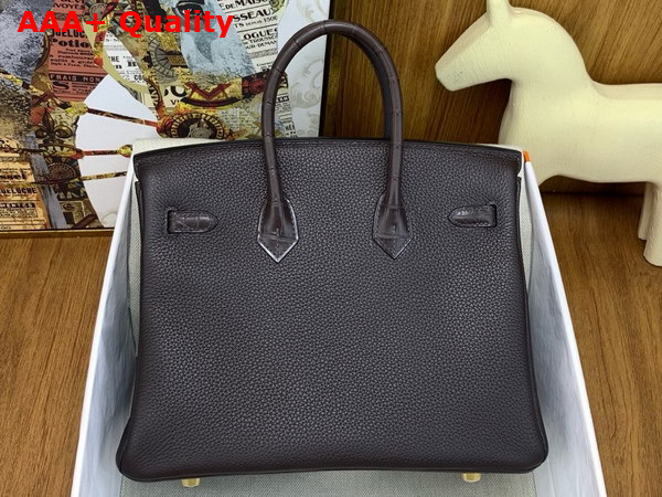 Hermes Birkin 25 Bag in Ebene Togo Leather and Alligator Leather Replica