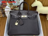 Hermes Birkin 25 Bag in Ebene Togo Leather and Alligator Leather Replica