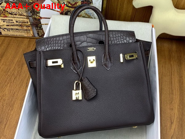 Hermes Birkin 25 Bag in Ebene Togo Leather and Alligator Leather Replica