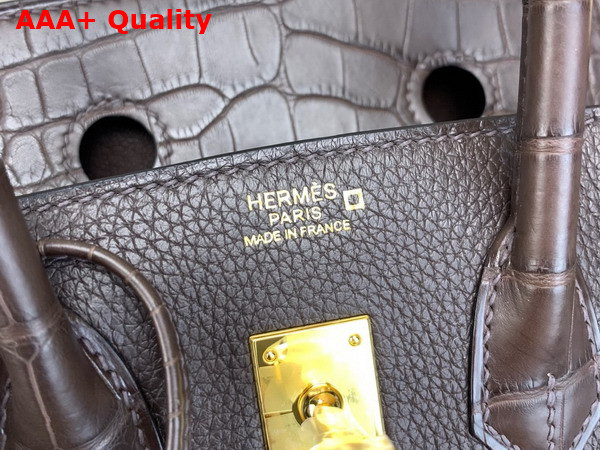Hermes Birkin 25 Bag in Ebene Togo Leather and Alligator Leather Replica
