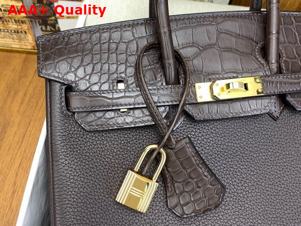 Hermes Birkin 25 Bag in Ebene Togo Leather and Alligator Leather Replica