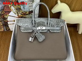 Hermes Birkin 25 Bag in Etoupe Togo Leather and Alligator Leather Replica