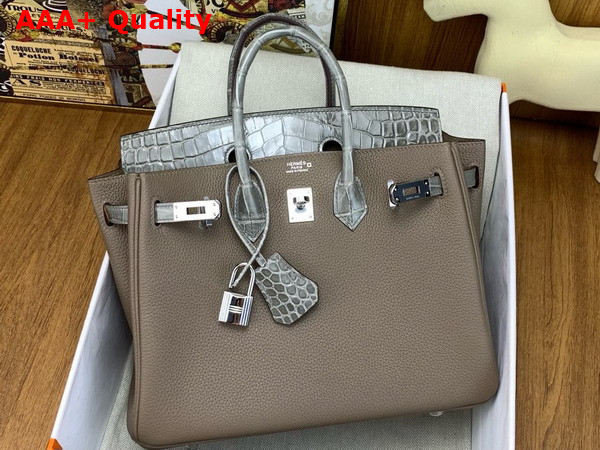 Hermes Birkin 25 Bag in Etoupe Togo Leather and Alligator Leather Replica