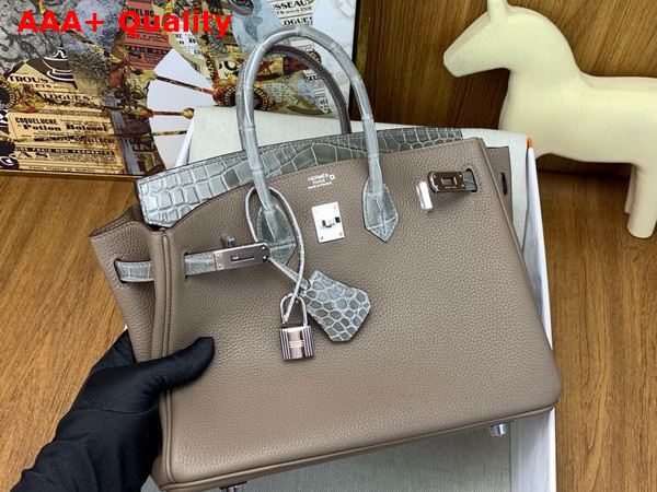 Hermes Birkin 25 Bag in Etoupe Togo Leather and Alligator Leather Replica