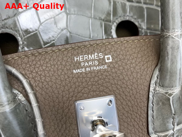 Hermes Birkin 25 Bag in Etoupe Togo Leather and Alligator Leather Replica