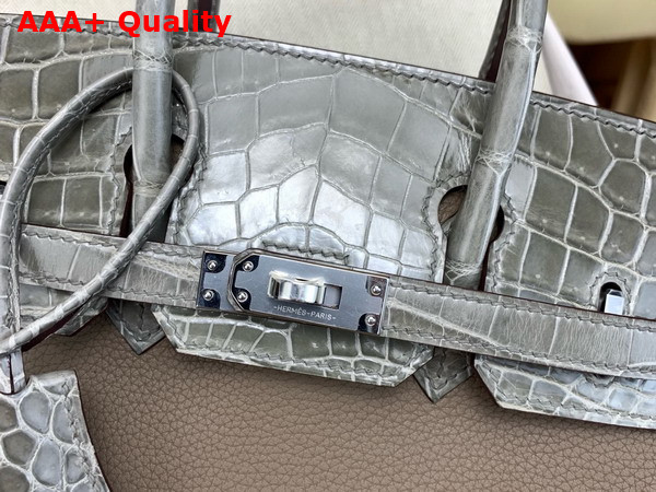 Hermes Birkin 25 Bag in Etoupe Togo Leather and Alligator Leather Replica