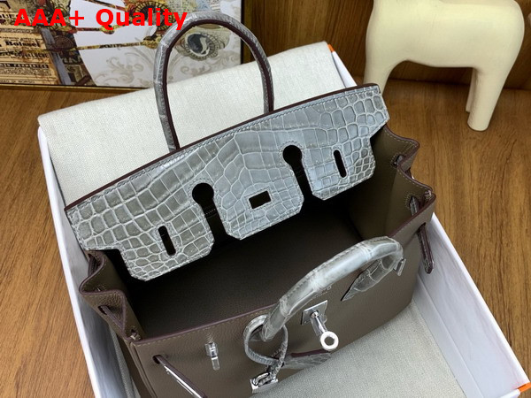 Hermes Birkin 25 Bag in Etoupe Togo Leather and Alligator Leather Replica