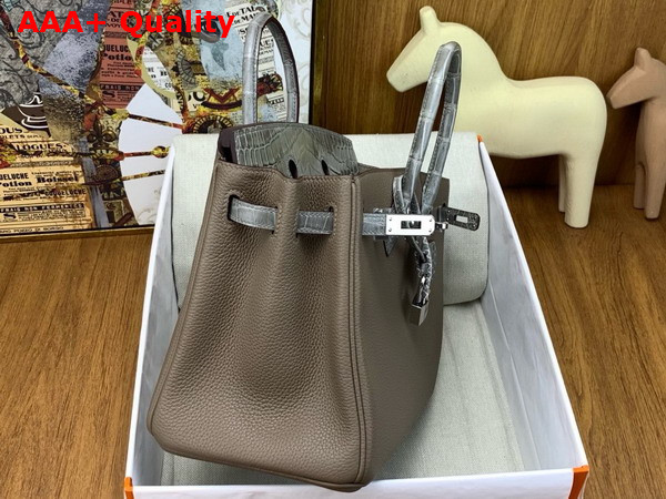 Hermes Birkin 25 Bag in Etoupe Togo Leather and Alligator Leather Replica