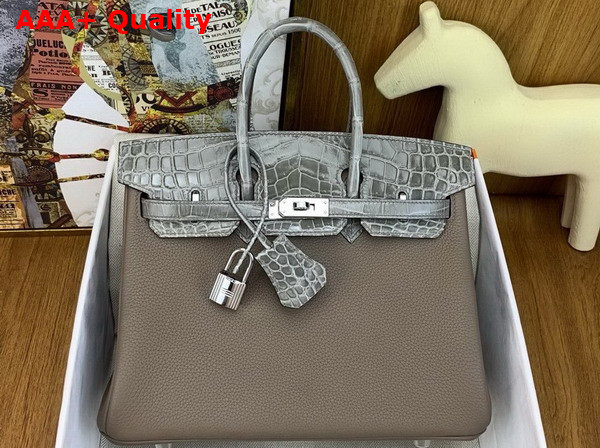 Hermes Birkin 25 Bag in Etoupe Togo Leather and Alligator Leather Replica