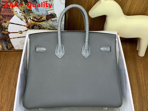 Hermes Birkin 25 Bag in Gris Meyer Togo Leather and Alligator Leather Replica