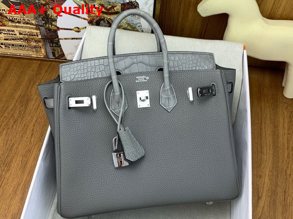 Hermes Birkin 25 Bag in Gris Meyer Togo Leather and Alligator Leather Replica