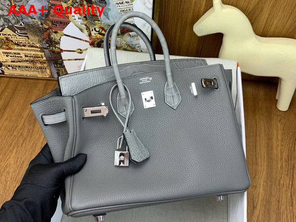 Hermes Birkin 25 Bag in Gris Meyer Togo Leather and Alligator Leather Replica