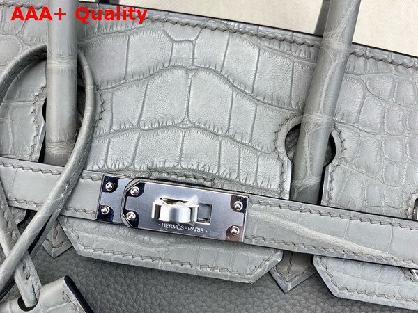 Hermes Birkin 25 Bag in Gris Meyer Togo Leather and Alligator Leather Replica