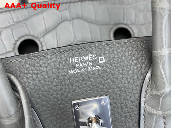 Hermes Birkin 25 Bag in Gris Meyer Togo Leather and Alligator Leather Replica
