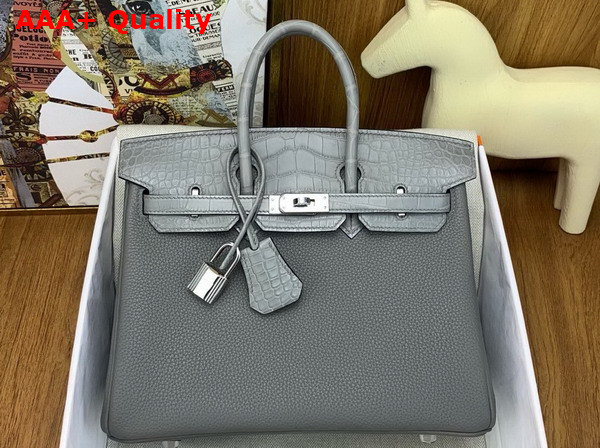 Hermes Birkin 25 Bag in Gris Meyer Togo Leather and Alligator Leather Replica