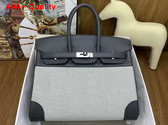 Hermes Birkin 25 Bag in H Canvas and Swift Calfskin Ecru Noir Gris Misty Replica