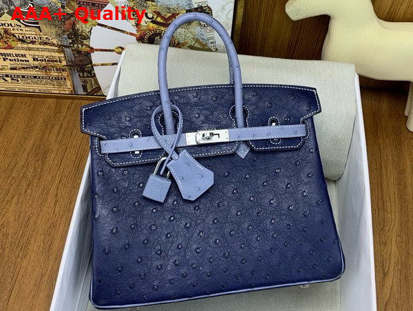 Hermes Birkin 25 Bag in Iris Blue Ostrich Leather Replica