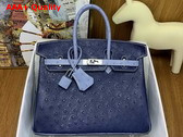 Hermes Birkin 25 Bag in Iris Blue Ostrich Leather Replica