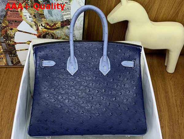 Hermes Birkin 25 Bag in Iris Blue Ostrich Leather Replica