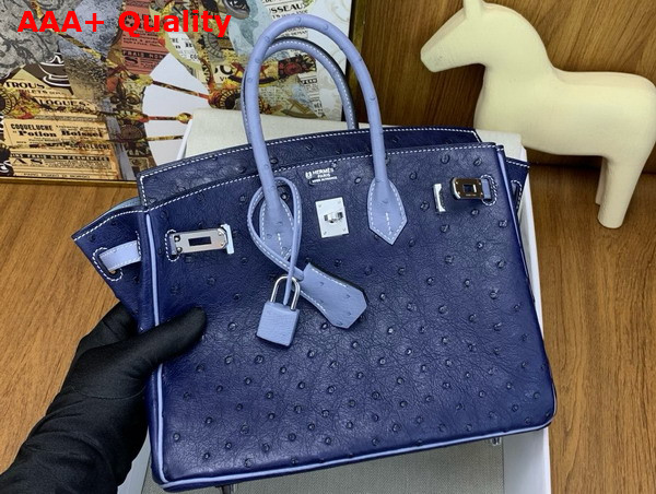 Hermes Birkin 25 Bag in Iris Blue Ostrich Leather Replica