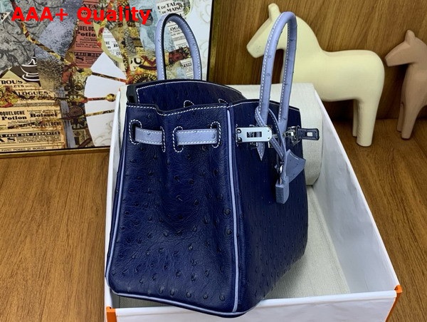 Hermes Birkin 25 Bag in Iris Blue Ostrich Leather Replica