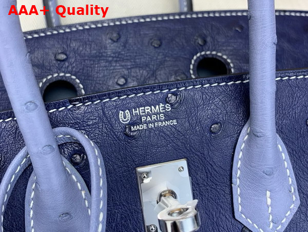Hermes Birkin 25 Bag in Iris Blue Ostrich Leather Replica
