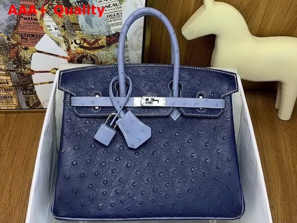 Hermes Birkin 25 Bag in Iris Blue Ostrich Leather Replica