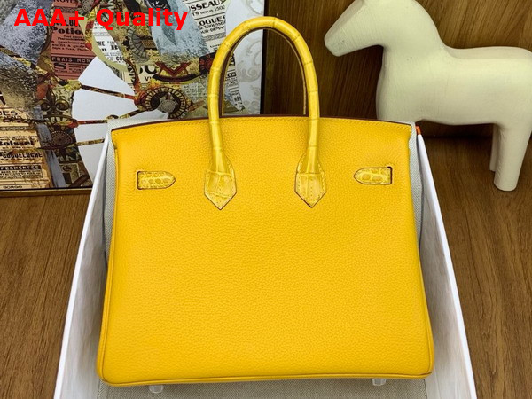 Hermes Birkin 25 Bag in Jaune Ambre Togo Leather and Alligator Leather Replica