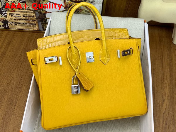 Hermes Birkin 25 Bag in Jaune Ambre Togo Leather and Alligator Leather Replica