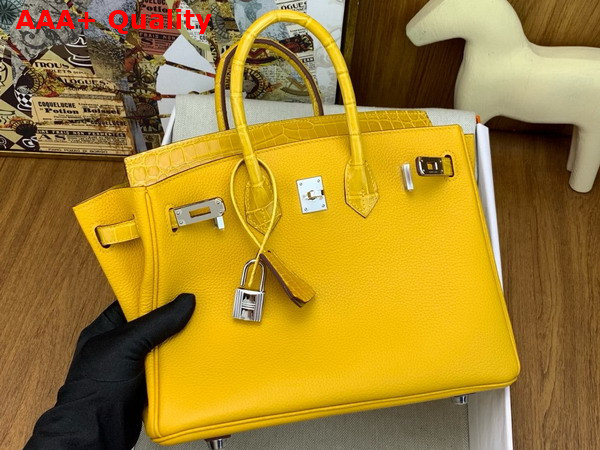 Hermes Birkin 25 Bag in Jaune Ambre Togo Leather and Alligator Leather Replica