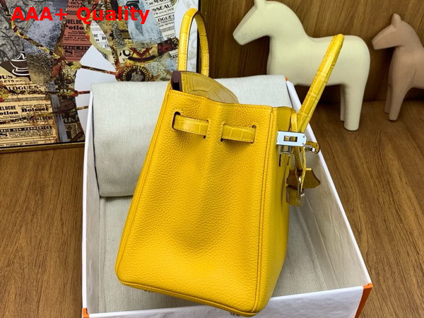 Hermes Birkin 25 Bag in Jaune Ambre Togo Leather and Alligator Leather Replica