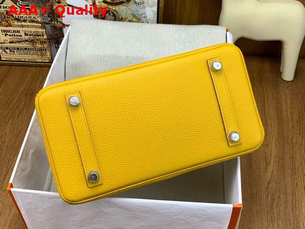 Hermes Birkin 25 Bag in Jaune Ambre Togo Leather and Alligator Leather Replica