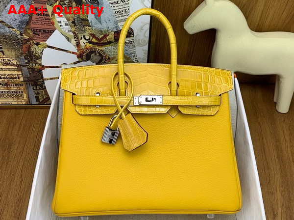 Hermes Birkin 25 Bag in Jaune Ambre Togo Leather and Alligator Leather Replica