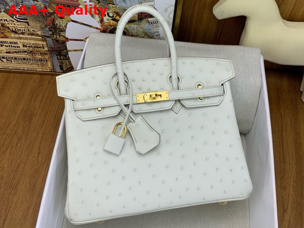 Hermes Birkin 25 Bag in Parchemin Ostrich Leather Replica
