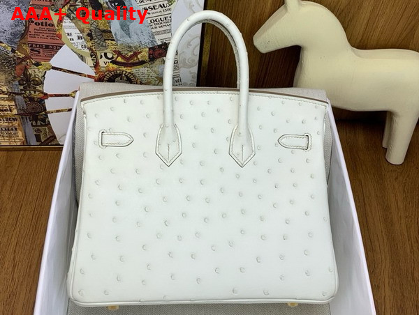 Hermes Birkin 25 Bag in Parchemin Ostrich Leather Replica