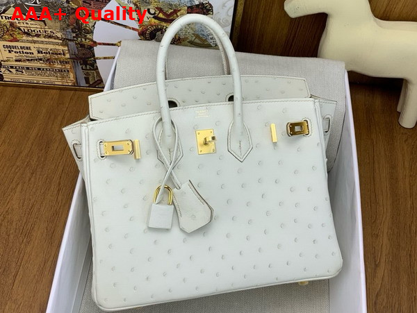 Hermes Birkin 25 Bag in Parchemin Ostrich Leather Replica