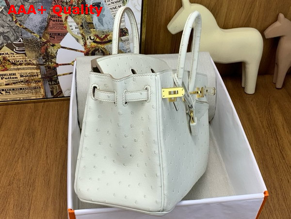 Hermes Birkin 25 Bag in Parchemin Ostrich Leather Replica