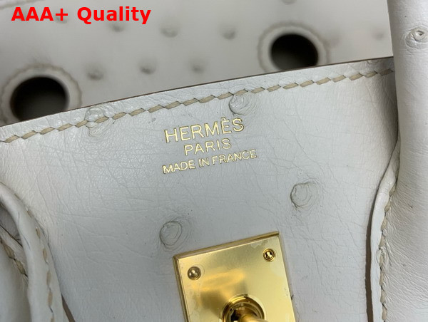 Hermes Birkin 25 Bag in Parchemin Ostrich Leather Replica
