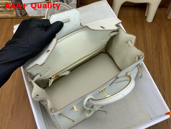 Hermes Birkin 25 Bag in Parchemin Ostrich Leather Replica